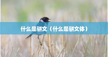 什么是骈文（什么是骈文体）