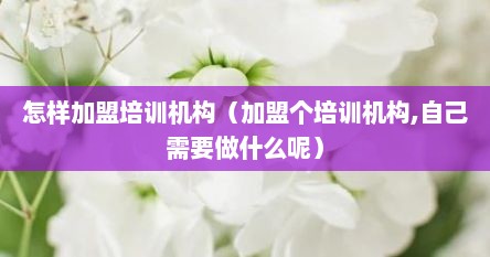 怎样加盟培训机构（加盟个培训机构,自己需要做什么呢）