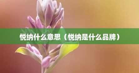 悦纳什么意思（悦纳是什么品牌）