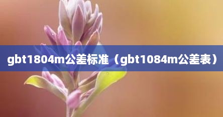 gbt1804m公差标准（gbt1084m公差表）