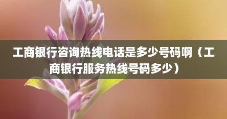 工商银行咨询热线电话是多少号码啊（工商银行服务热线号码多少）