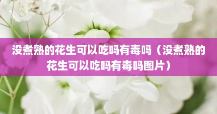 没煮熟的花生可以吃吗有毒吗（没煮熟的花生可以吃吗有毒吗图片）