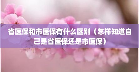 省医保和市医保有什么区别（怎样知道自己是省医保还是市医保）