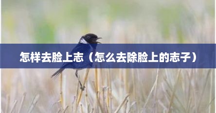 怎样去脸上志（怎么去除脸上的志子）