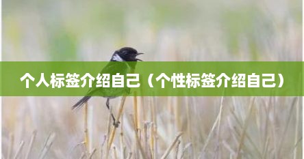 个人标签介绍自己（个性标签介绍自己）