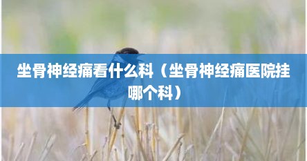 坐骨神经痛看什么科（坐骨神经痛医院挂哪个科）