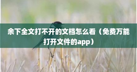 余下全文打不开的文档怎么看（免费万能打开文件的app）