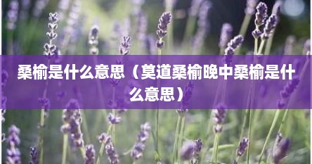 桑榆是什么意思（莫道桑榆晚中桑榆是什么意思）
