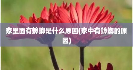 家里面有蟑螂是什么原因(家中有蟑螂的原因)