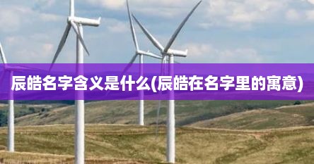 辰皓名字含义是什么(辰皓在名字里的寓意)