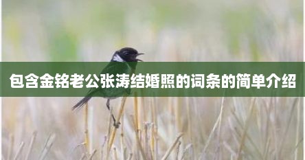 包含金铭老公张涛结婚照的词条的简单介绍