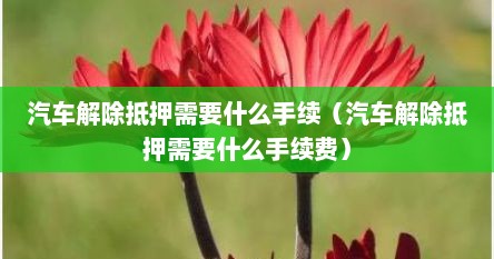 汽车解除抵押需要什么手续（汽车解除抵押需要什么手续费）