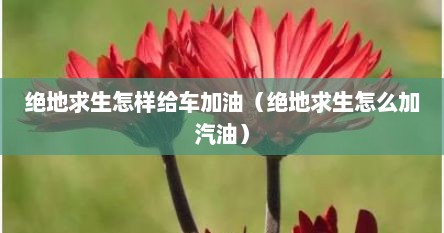 绝地求生怎样给车加油（绝地求生怎么加汽油）