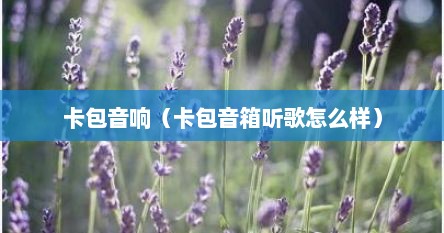 卡包音响（卡包音箱听歌怎么样）