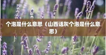 个泡是什么意思（山西话灰个泡是什么意思）