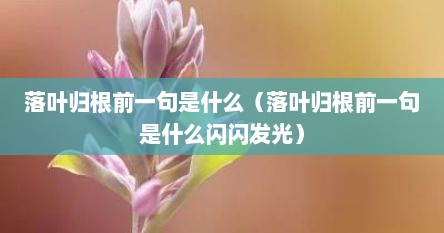 落叶归根前一句是什么（落叶归根前一句是什么闪闪发光）