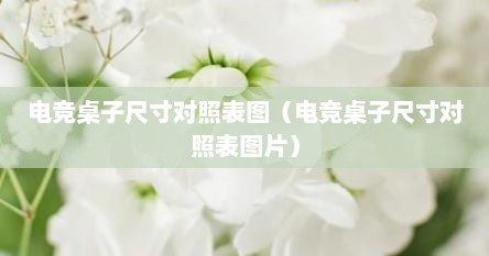 电竞桌子尺寸对照表图（电竞桌子尺寸对照表图片）