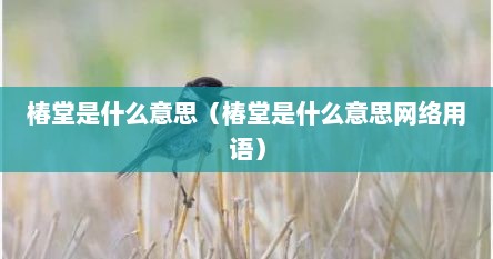 椿堂是什么意思（椿堂是什么意思网络用语）