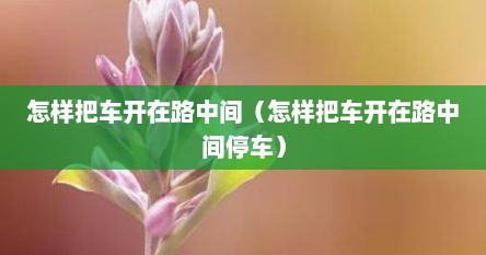 怎样把车开在路中间（怎样把车开在路中间停车）