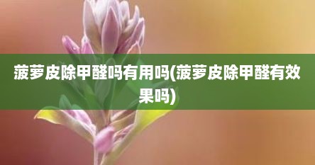 菠萝皮除甲醛吗有用吗(菠萝皮除甲醛有效果吗)