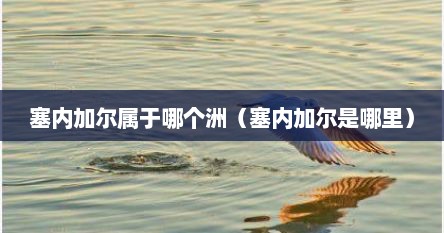 塞内加尔属于哪个洲（塞内加尔是哪里）