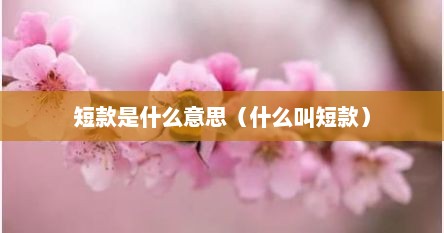 短款是什么意思（什么叫短款）