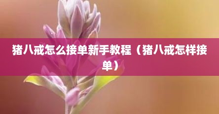 猪八戒怎么接单新手教程（猪八戒怎样接单）