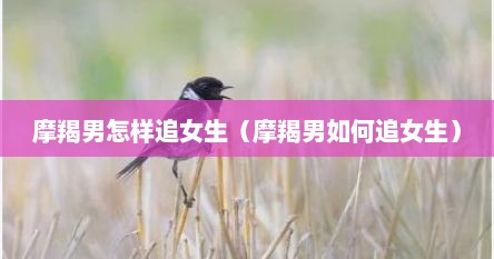 摩羯男怎样追女生（摩羯男如何追女生）