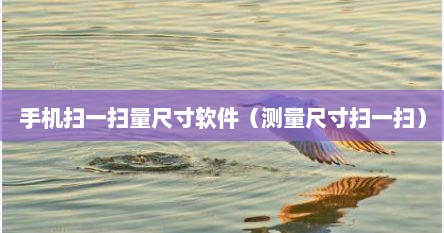 手机扫一扫量尺寸软件（测量尺寸扫一扫）