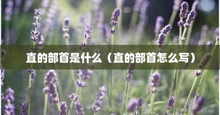 直的部首是什么（直的部首怎么写）
