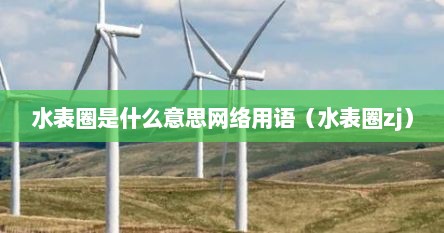 水表圈是什么意思网络用语（水表圈zj）