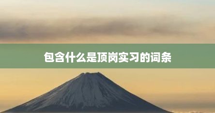 包含什么是顶岗实习的词条