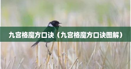 九宫格魔方口诀（九宫格魔方口诀图解）