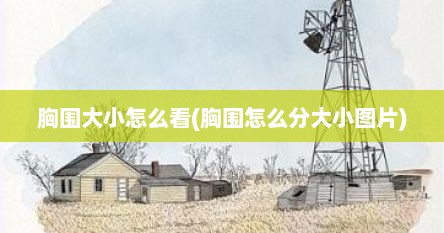 胸围大小怎么看(胸围怎么分大小图片)