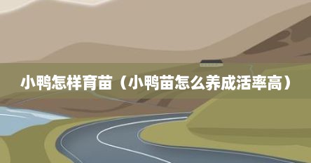 小鸭怎样育苗（小鸭苗怎么养成活率高）