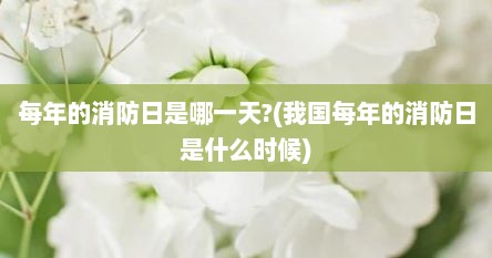 每年的消防日是哪一天?(我国每年的消防日是什么时候)