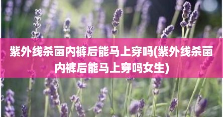 紫外线杀菌内裤后能马上穿吗(紫外线杀菌内裤后能马上穿吗女生)