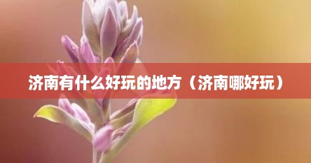 济南有什么好玩的地方（济南哪好玩）