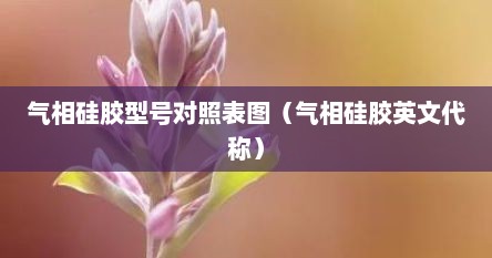 气相硅胶型号对照表图（气相硅胶英文代称）