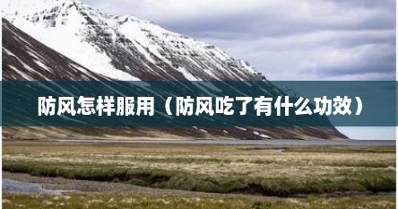 防风怎样服用（防风吃了有什么功效）