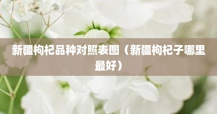 新疆枸杞品种对照表图（新疆枸杞子哪里最好）