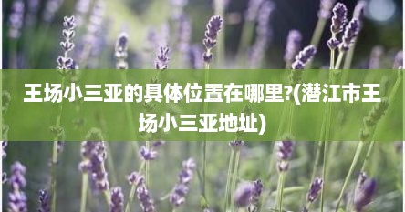 王场小三亚的具体位置在哪里?(潜江市王场小三亚地址)