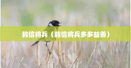 韩信将兵（韩信将兵多多益善）