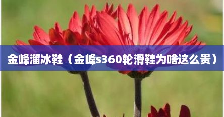 金峰溜冰鞋（金峰s360轮滑鞋为啥这么贵）