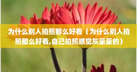 为什么别人拍照那么好看（为什么别人拍照那么好看,自己拍照感觉灰蒙蒙的）