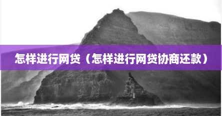 怎样进行网贷（怎样进行网贷协商还款）