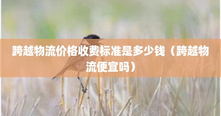 跨越物流价格收费标准是多少钱（跨越物流便宜吗）