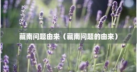 藏南问题由来（藏南问题的由来）