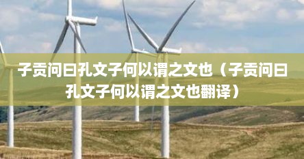 子贡问曰孔文子何以谓之文也（子贡问曰孔文子何以谓之文也翻译）