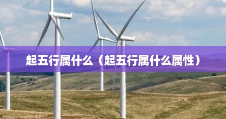 起五行属什么（起五行属什么属性）